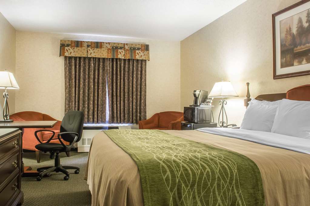 Comfort Inn Sarnia Room photo