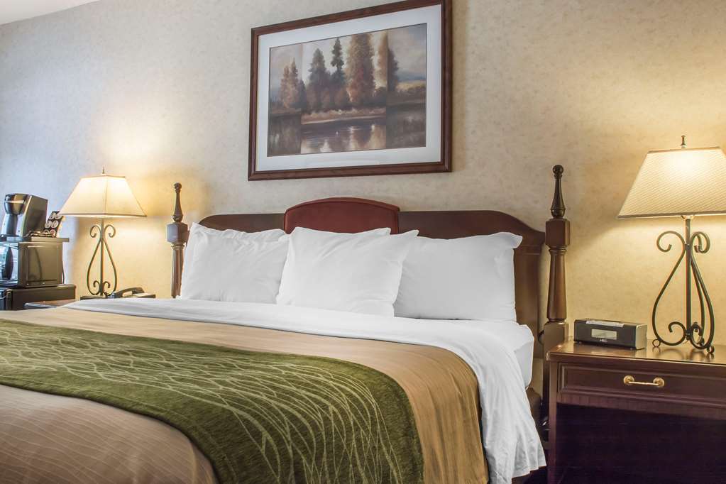 Comfort Inn Sarnia Room photo